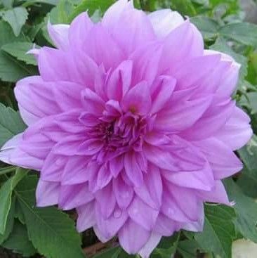 林純慧Sunny的頭像