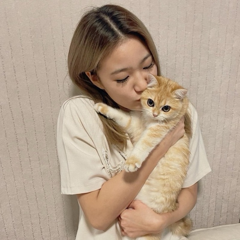 ตาต้า