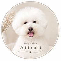 Show profile photo