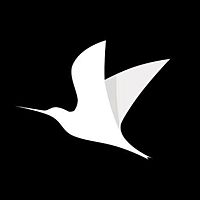 Show profile photo