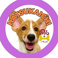 Show profile photo