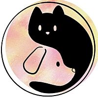 Show profile photo