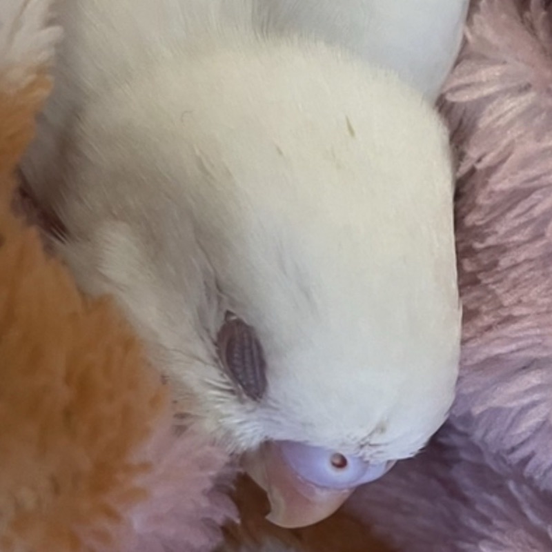 じゅん