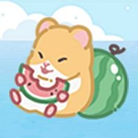 Show profile photo