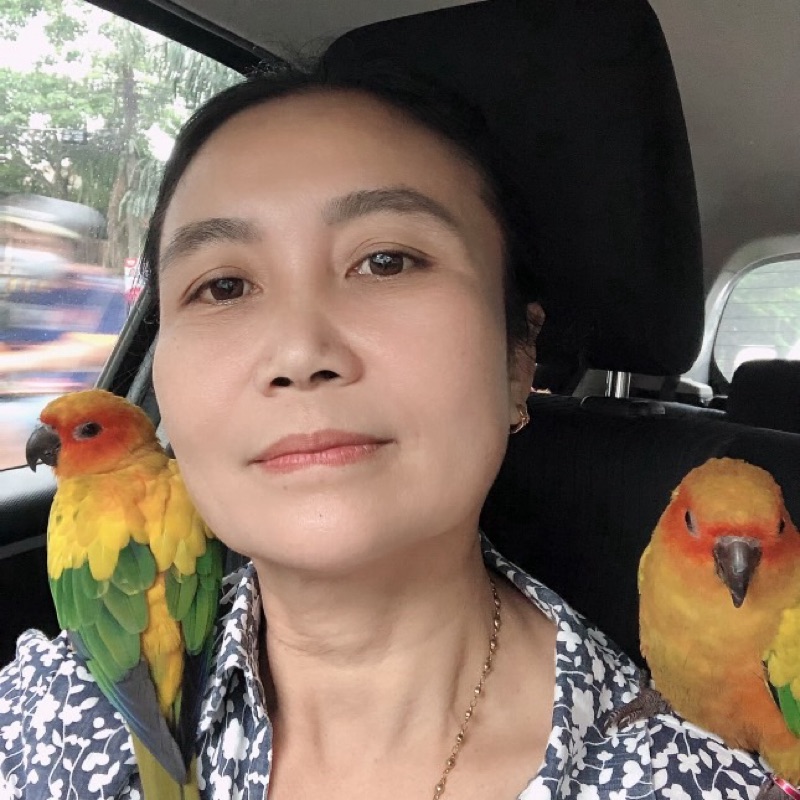 วัลย์