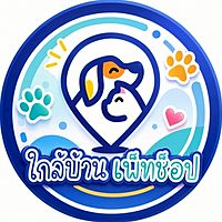 Show profile photo