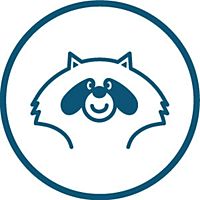Show profile photo