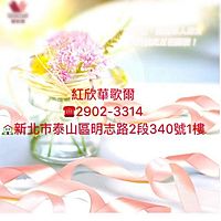 Show profile photo
