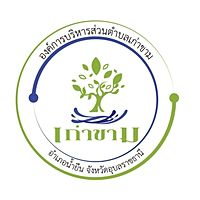 Show profile photo