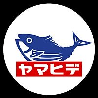 Show profile photo