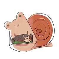 Show profile photo