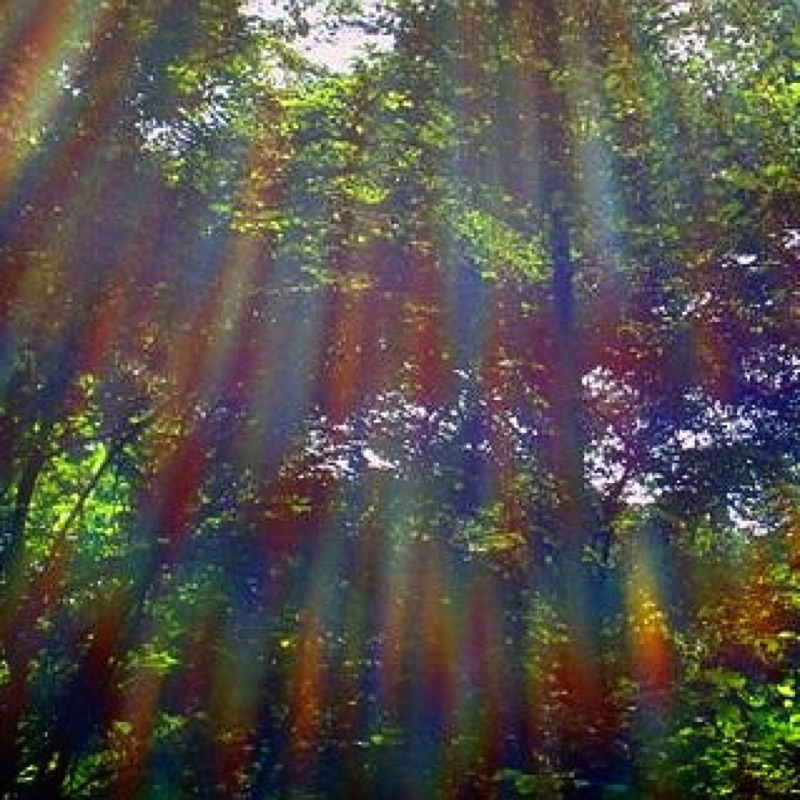 🍀マサミチ🍀