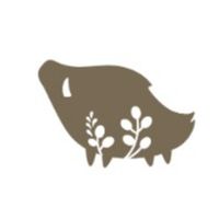 Show profile photo