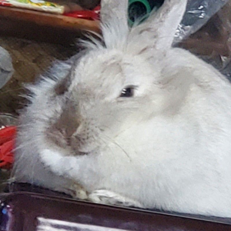 ゆうな