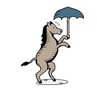 Show profile photo