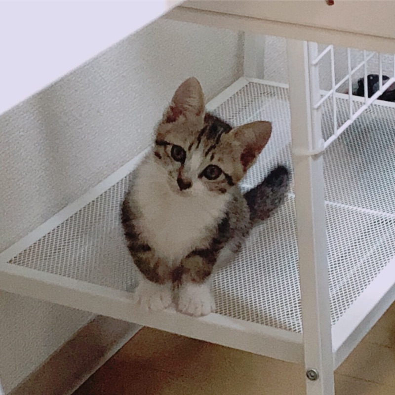 あ