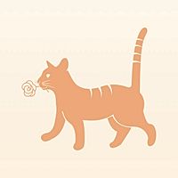 Show profile photo