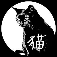 Show profile photo