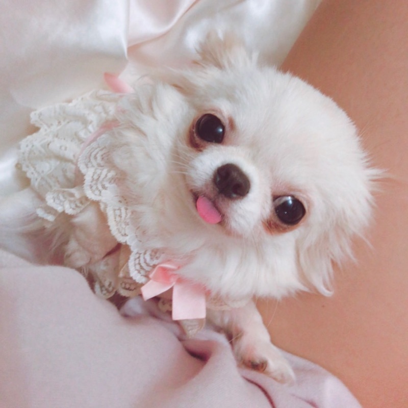 🍓yun🍓