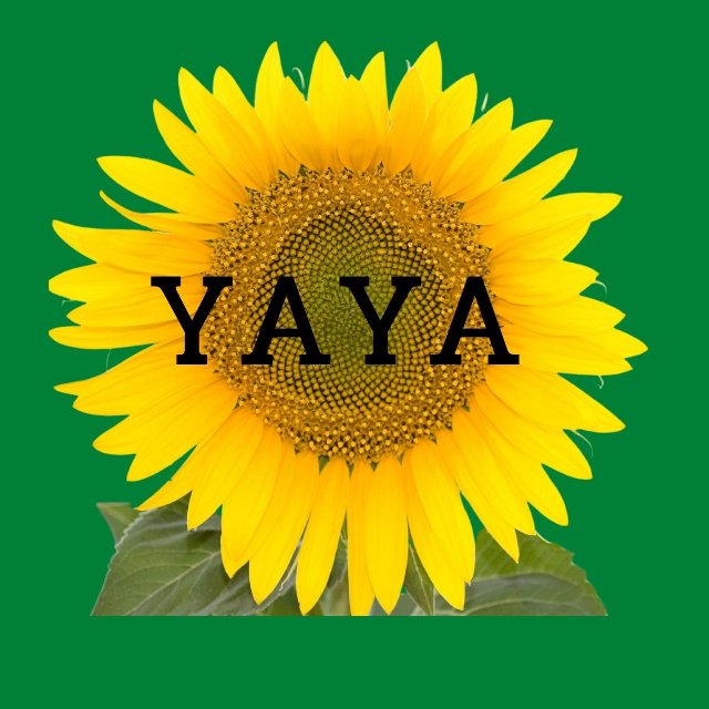 An Image
