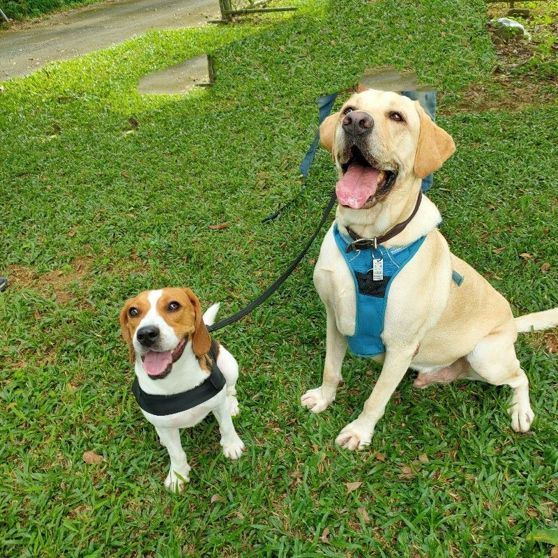 游CoCo🌺的頭像