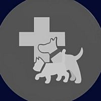 Show profile photo