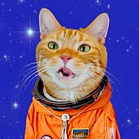 Show profile photo