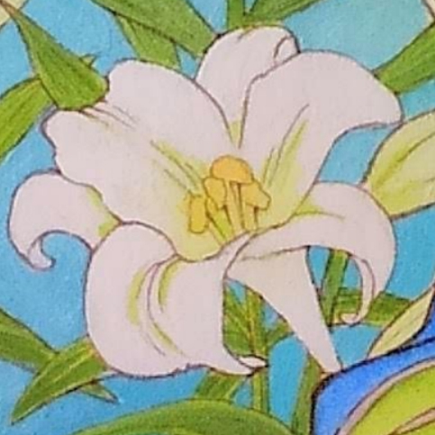 ユーザーの口コミ 良食生活館きたまち店 リョウショクセイカツカンキタマチテン 喜多町 スーパー By Line Place