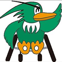 Show profile photo