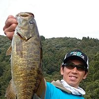 Show profile photo
