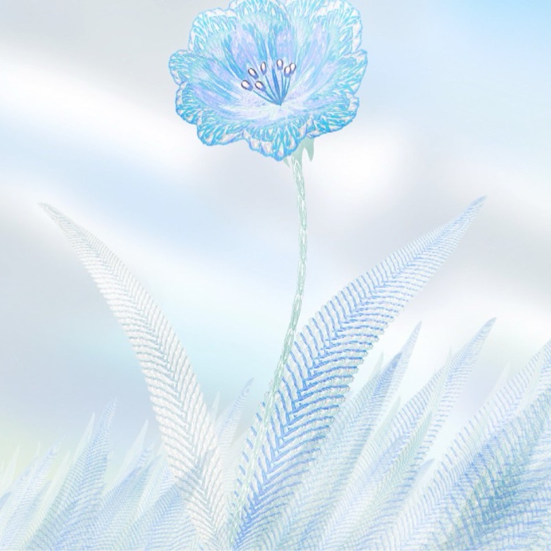しー