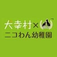 Show profile photo