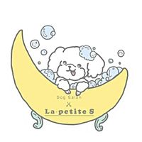 Show profile photo