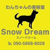 Show profile photo