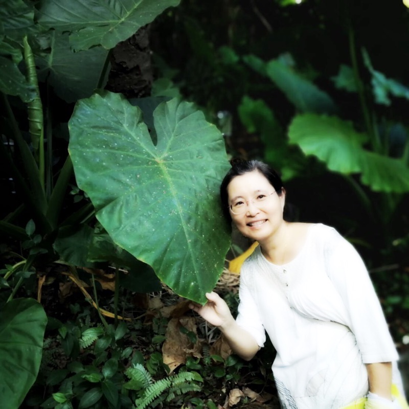 葉麗文的頭像