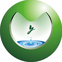 Show profile photo