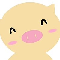 Show profile photo
