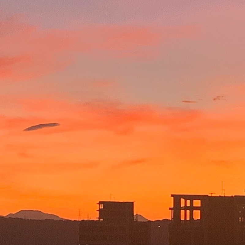 琍**