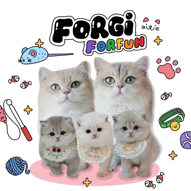 An Image