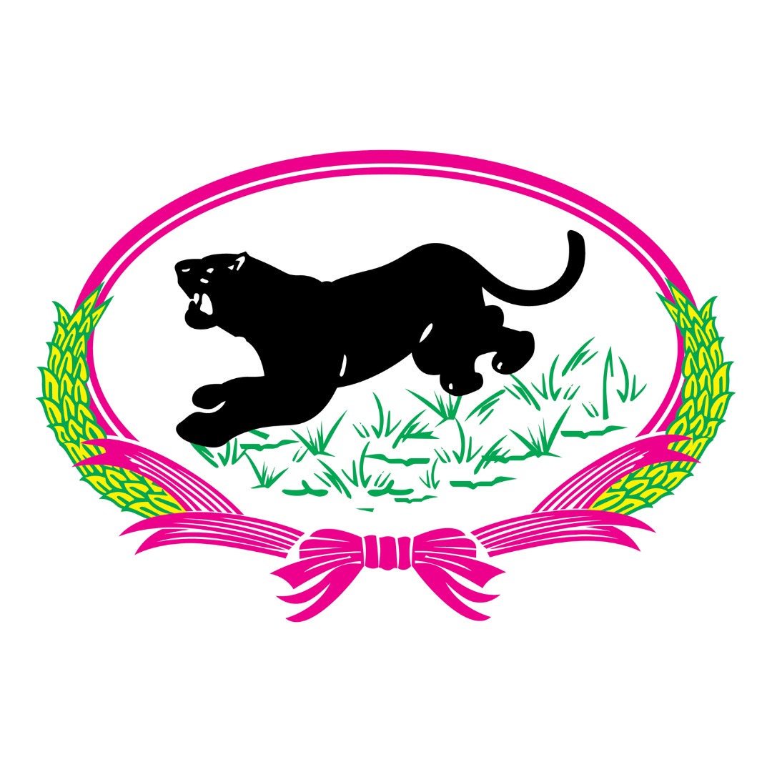 An Image