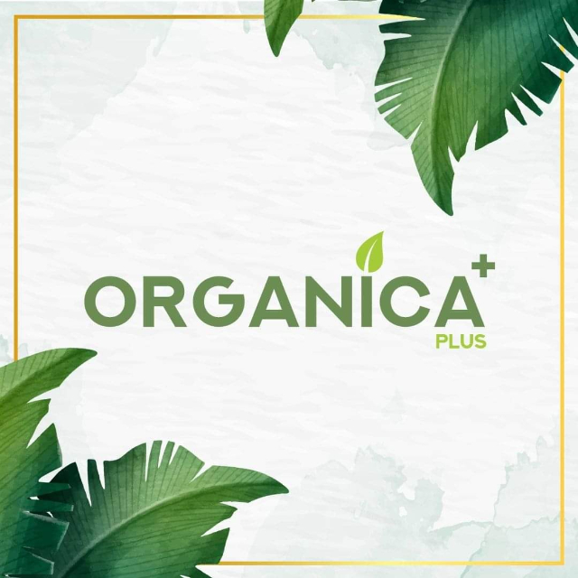ORGANICA + | LINE SHOPPING
