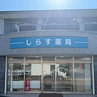 Show profile photo