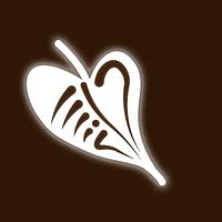 Show profile photo