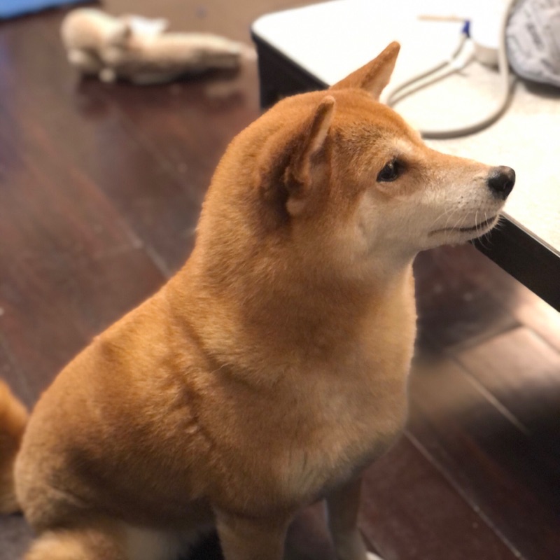 profile