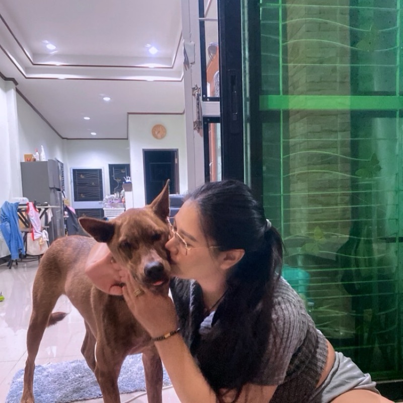 ปราณนัทธี ประทาส