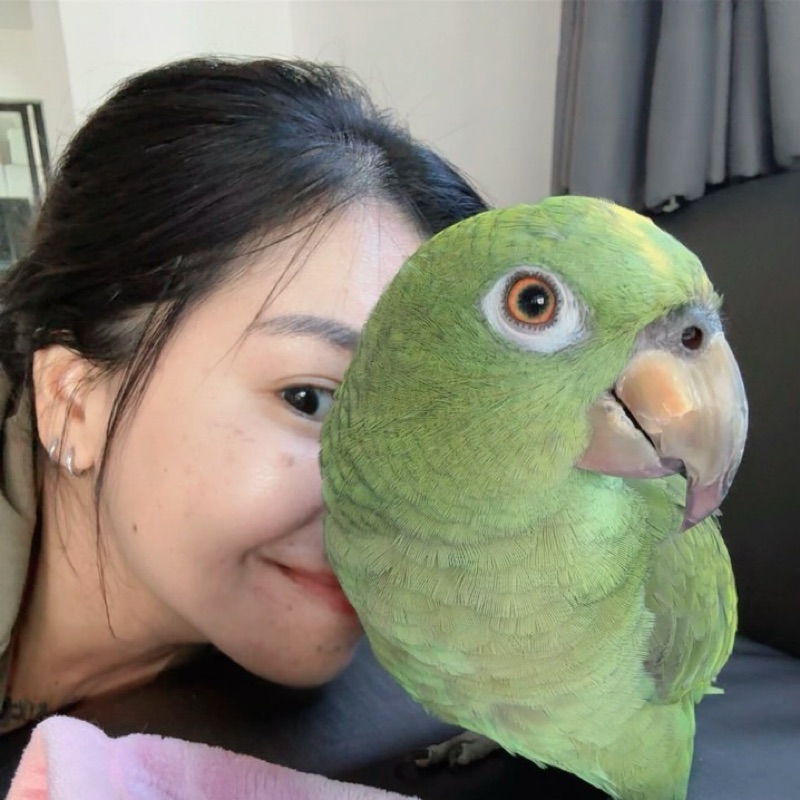 พัทธ์ธีรา