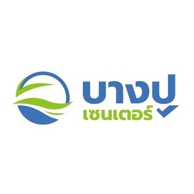 แอน