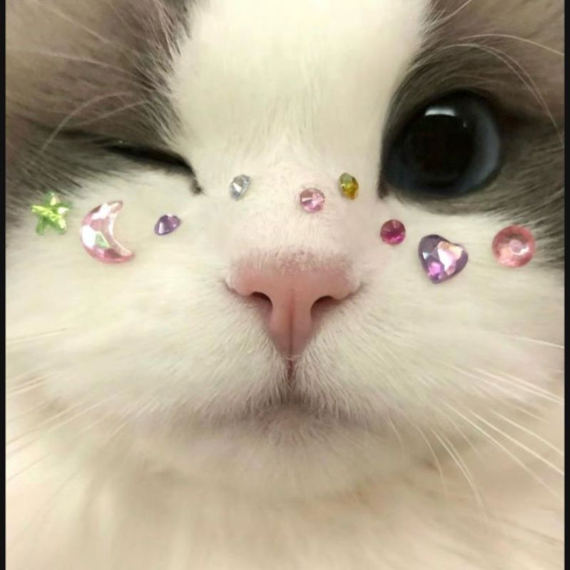 할나