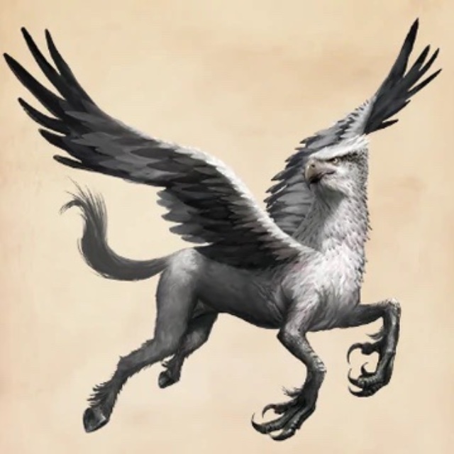 An Image