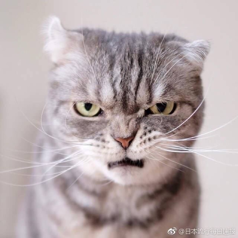 มี่